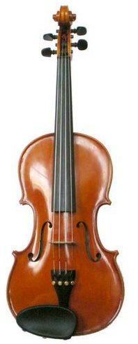 violin stringed instrument